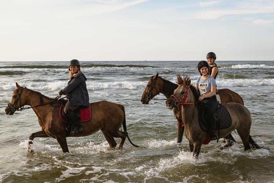 Pod Debami Domki ,Pokoje,Nauka Jazdy Konnej Sarbsk Obok Leby Экстерьер фото